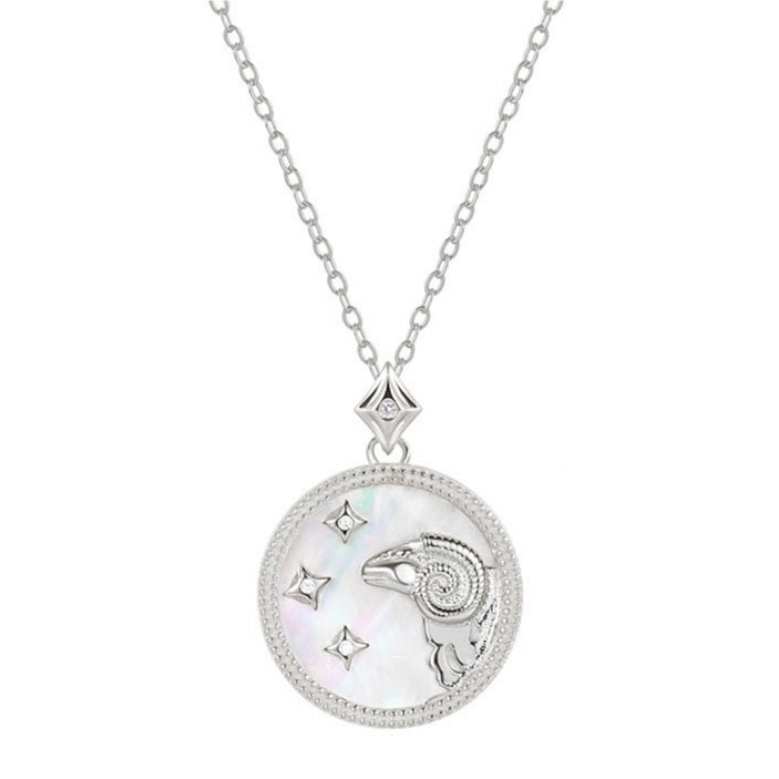 Mother of Pearl Star Sign Horoscope Zodiac Necklace in Silver