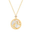 Mother of Pearl Star Sign Horoscope Zodiac Necklace